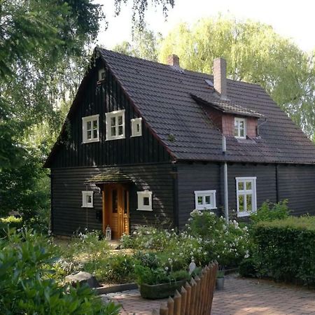 Вілла "Haus Am Knobben" Услар Екстер'єр фото