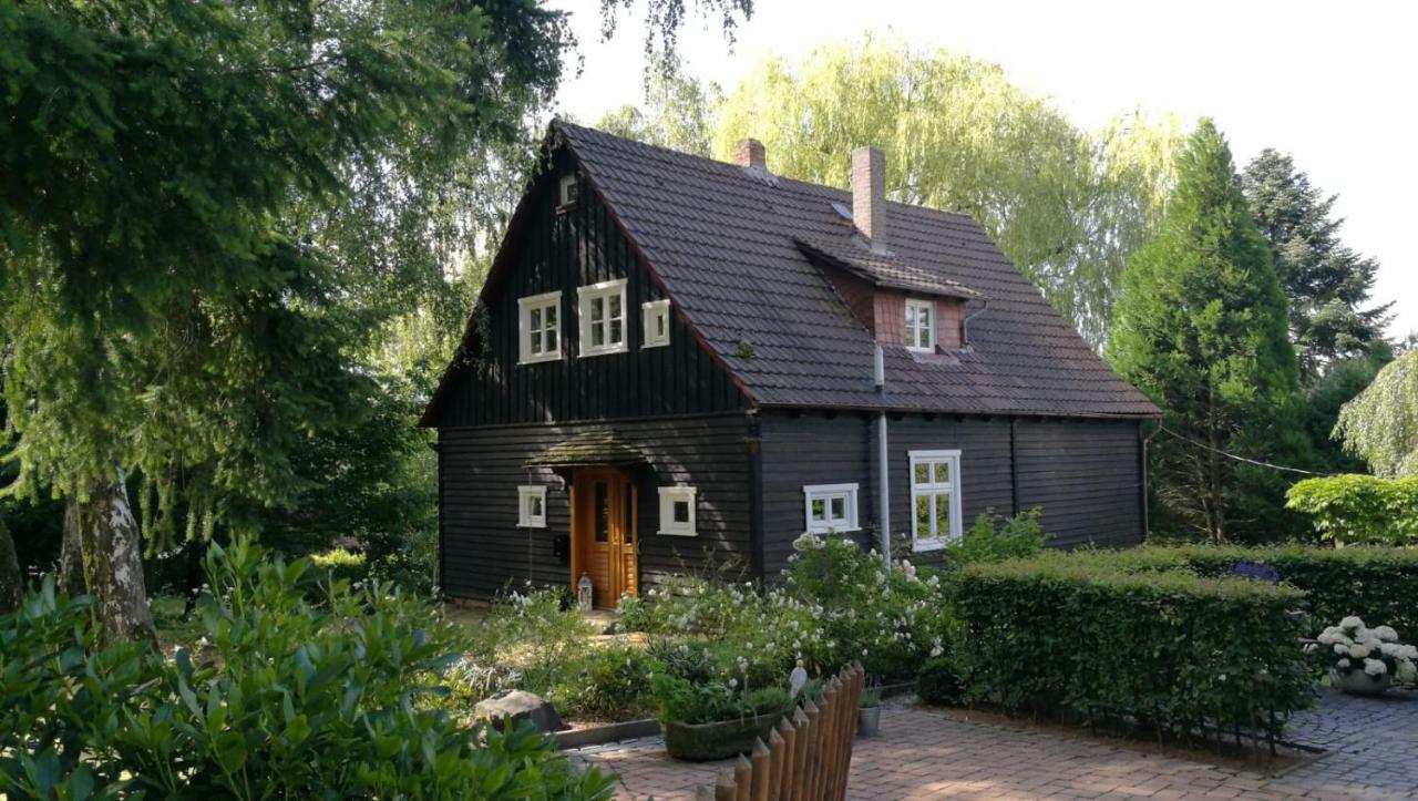 Вілла "Haus Am Knobben" Услар Екстер'єр фото