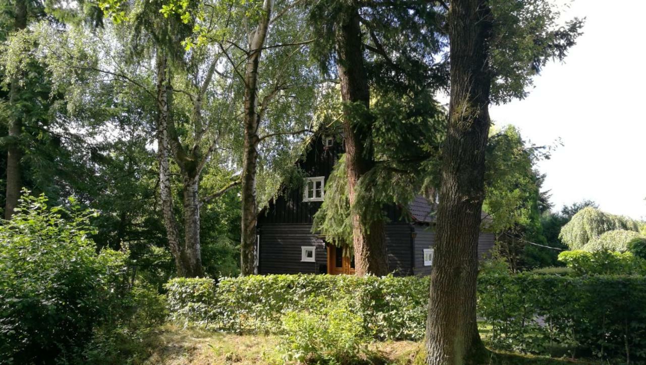Вілла "Haus Am Knobben" Услар Екстер'єр фото