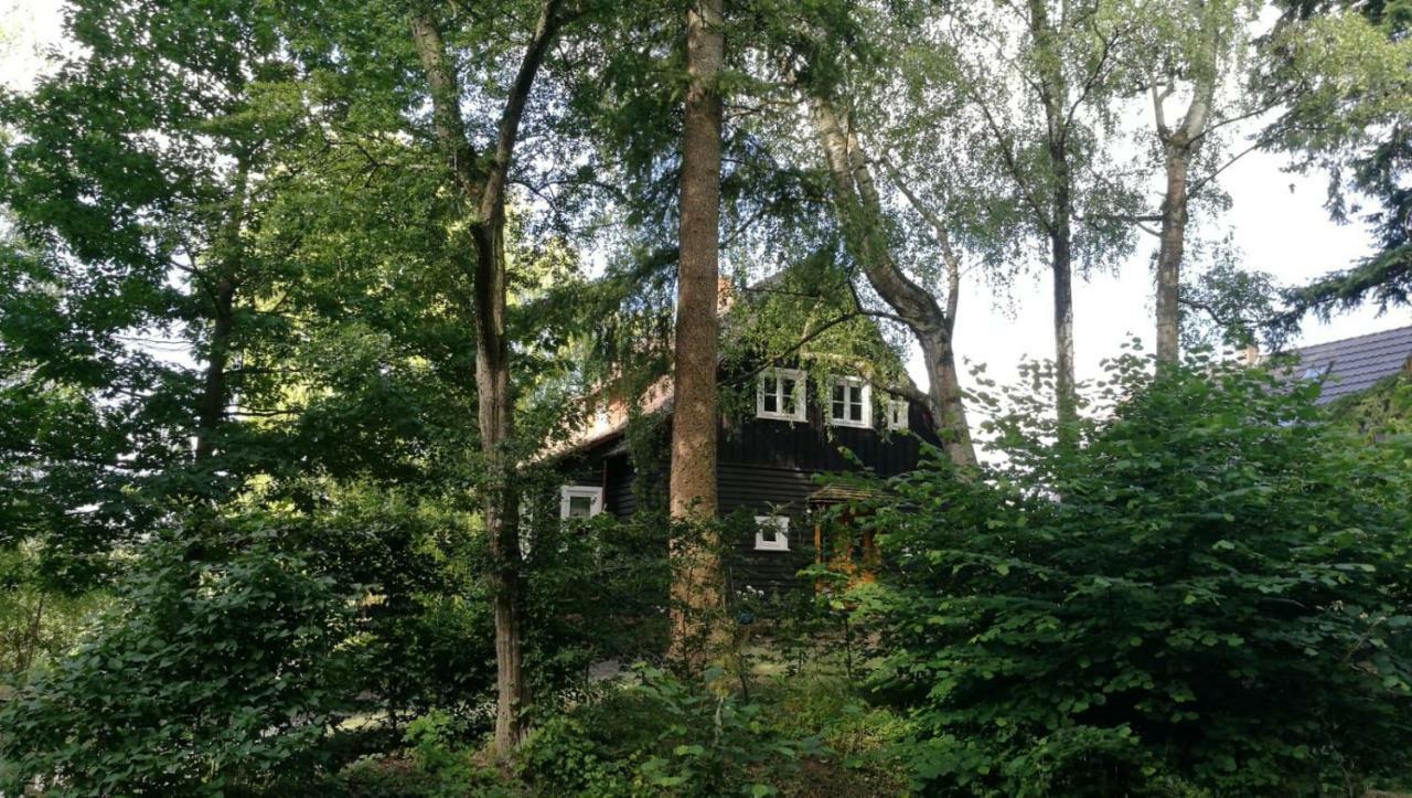 Вілла "Haus Am Knobben" Услар Екстер'єр фото